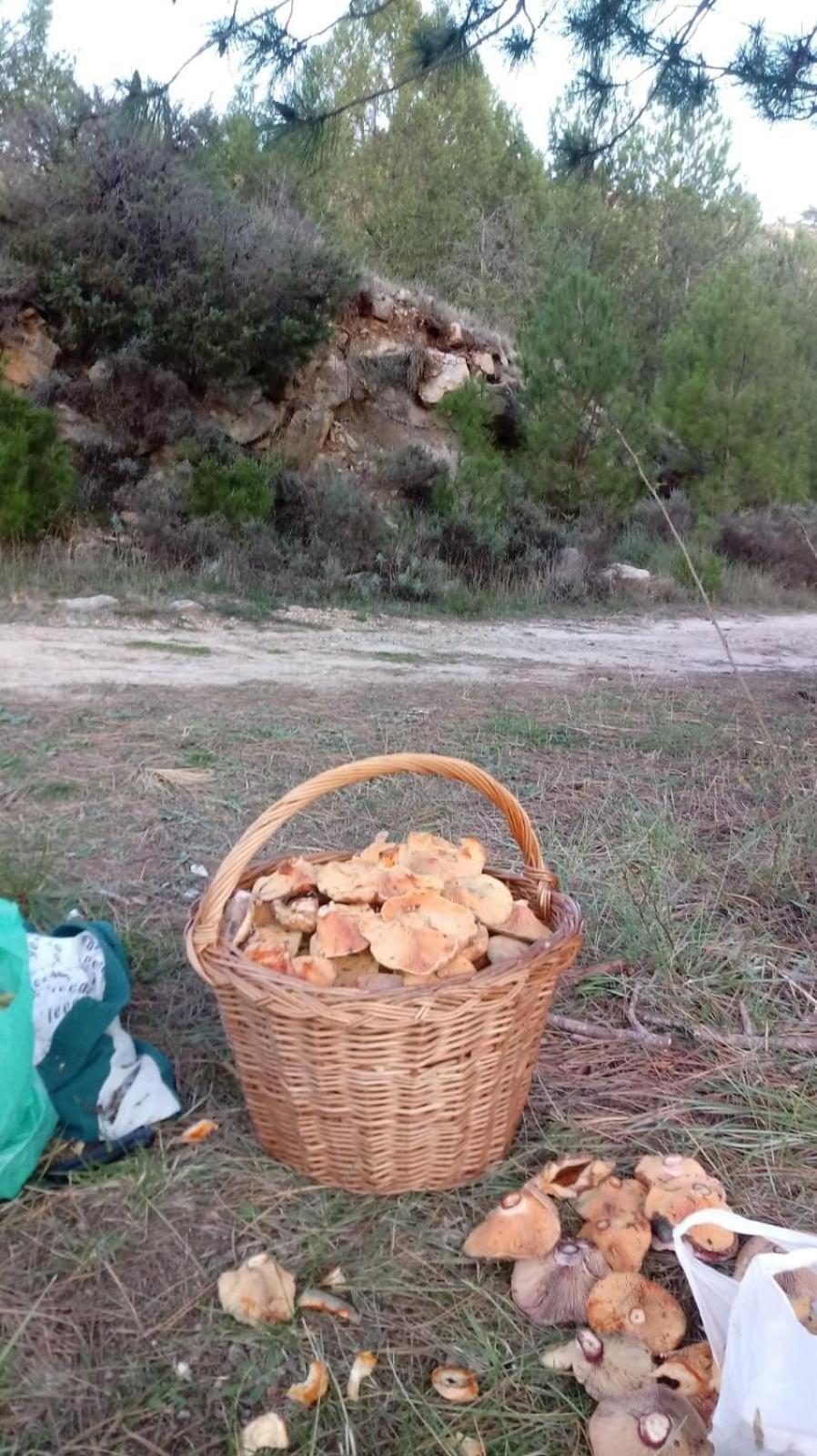 Casa Valle Del Hontanar Cardenete Eksteriør billede